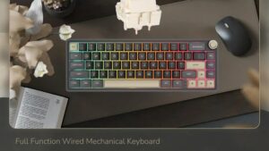 RKR65-PHANTOM-CHART R65 Mechanical Gaming Keyboard Chartreuse Switch RK ROYAL KLUDGE R65 Wired Mechanical Gaming Keyboard with Volume Knob and QMK & ViA RGB Backlit Programmable Keyboard Gasket Mount with PBT Keycaps