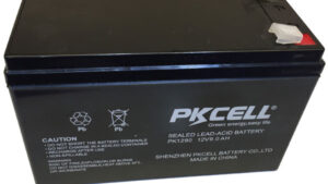 PkCell12V 9AH Sealed Lead Acid battery for UPS & Security system