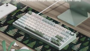 RKR75-SKYCYAN-SLIVER R75 TKL Mechanical Keyboard Silver Switch RK ROYAL KLUDGE R75 Mechanical Keyboard Wired with Volumn Knob 75% TKL Custom Gaming Keyboard Gasket Mount RGB Backlit with Software MDA Profile Hot Swappable  Silver Switch Pro PBT Keycaps