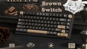 RKM75-PHANTOM-BROWN ROYAL KLUDGE RKM75 81KEYS / BROWN SWITCH / PHANTOM RGB ( 3C ) W-W-B KEYBOARD RK ROYAL KLUDGE M75 Wireless Mechanical Keyboard 2.4Ghz/BT5.1/USB-C Gaming Keyboard 75% Layout 81 Keys Gasket Mount with OLED Display & Knob RGB Backlight Hot-Swappable BROWN SWITCH – PHANTOM 