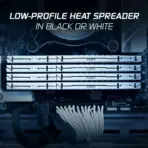 Kingston FURY Beast White 16GB 5600MT/s CL40 DDR5 XMP DIMM | Overclocking | Plug N Play | Intel XMP 3.0 | Single Module | KF556C40BW-16 - Image 3
