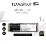 TEAMGROUP MS30 1TB M.2 SATA III 6Gb/s SSD – High-Speed NGFF Solid State Drive with Intel SRT, TRIM, S.M.A.R.T., Power Saving Tech, 1.5M Hours MTBF