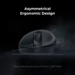 BenQ Zowie EC3-C Ergonomic Gaming Mouse | Professional Esports Performance | Lighter Weight | Driverless | Paracord Cable | 24-Step Scroll Wheel | Matte Black | Small Size - Image 3