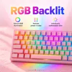 AKKO 5087 V3 Prunus Lannesiana TKL Tri-Mode Wireless  Mechanical Keyboard, V3 Piano Pro Linear Switches, (Bluetooth5.1 / 2.4GHz / USB Type-C), 10000mAh Battery, RGB, Gasket Mount & Hot-Swap, For Windows / macOS / iOS / Android - Image 5