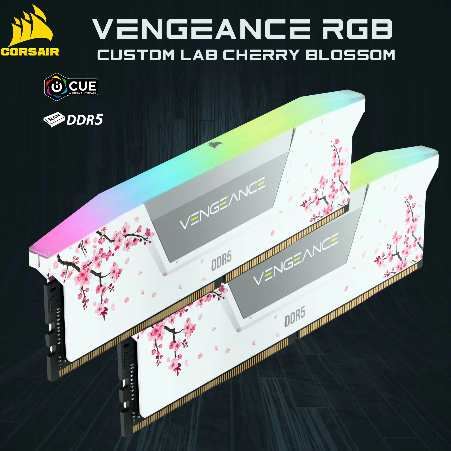 Vengeance-RGB-Custom-Lab-Cherry-Blossom-1.webp Vengeance RGB Custom Lab Cherry Blossom DDR5 RAM 32GB Kit (2x16GB) 6000MHz CL30 1.40V (PC5 48000) 288-Pin AMD EXPO / Intel XMP 3.0 Compatible Computer Memory | WHITE CMH32GX5M2B6000Z30WCB - Image 1